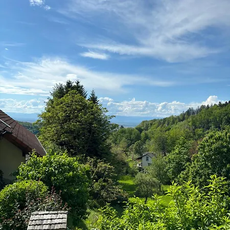 Sichtglueck Und Sichtwechsel *